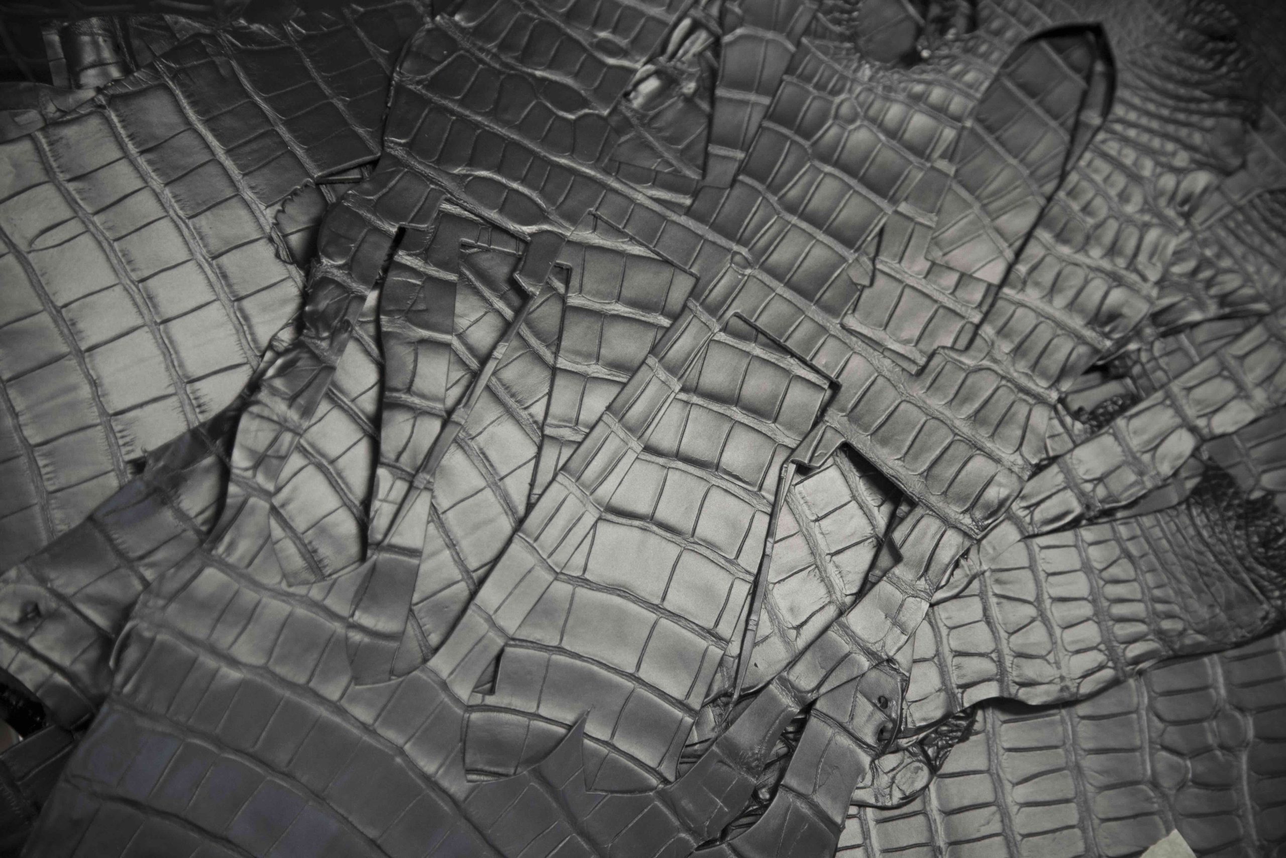 Alligator Leather
